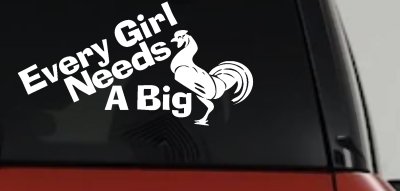 Funny Rooster Cock Vinyl Decal for Car Truck Window Every Girl Needs One