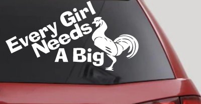 Funny Rooster Cock Vinyl Decal for Car Truck Window Every Girl Needs One