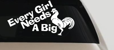 Funny Rooster Cock Vinyl Decal for Car Truck Window Every Girl Needs One