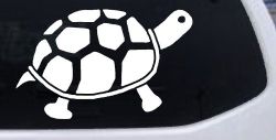 Turtle Car or Truck Window Decal Sticker