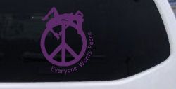 Everyone Wants Peace Car or Truck Window Decal Sticker (Violet)