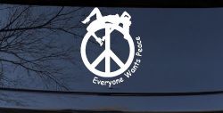 Everyone Wants Peace Car or Truck Window Decal Sticker