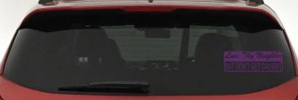 Love Thy Neighbor But Don't Get Caught Funny Car or Truck Window Decal Sticker (Violet)