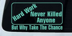 Hard Work Funny Car or Truck Window Decal Sticker (Mint)