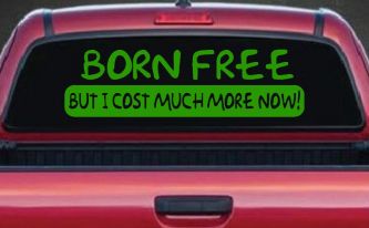 Born Free But I cost Much More Now Funny Car or Truck Window Decal Sticker (Lime)