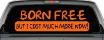 Born Free But I cost Much More Now Funny Car or Truck Window Decal Sticker (Orange)