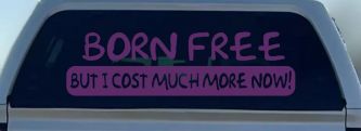 Born Free But I cost Much More Now Funny Car or Truck Window Decal Sticker (Violet)