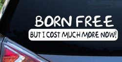 Born Free But I cost Much More Now Funny Car or Truck Window Decal Sticker