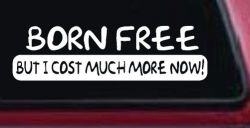 Born Free But I cost Much More Now Funny Car or Truck Window Decal Sticker