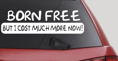 Hard Work Funny Car Truck Window Decal Sticker Vinyl Humor Gift
