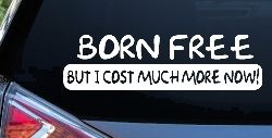 Born Free But I cost Much More Now Funny Car or Truck Window Decal Sticker
