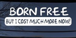 Born Free But I cost Much More Now Funny Car or Truck Window Decal Sticker