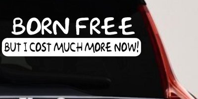 Hard Work Funny Car Truck Window Decal Sticker Vinyl Humor Gift