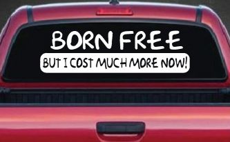 Born Free But I cost Much More Now Funny Car or Truck Window Decal Sticker