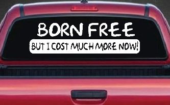 Born Free But I cost Much More Now Funny Car or Truck Window Decal Sticker
