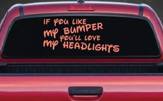 Like My Bumper (Coral)