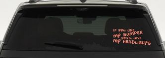 Like My Bumper (Coral)