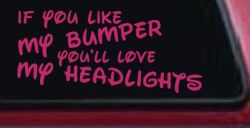 Like My Bumper (Hot Pink)