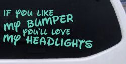 If you like my bumper youll love my headlights Car or Truck Vinyl Window Decal Sticker (Mint)