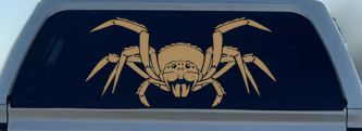 Spider Animals Car or Truck Window Decal Sticker (Light Brown)