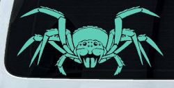 Spider Animals Car or Truck Window Decal Sticker (Mint)