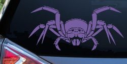 Spider Animals Car or Truck Window Decal Sticker (Purple)