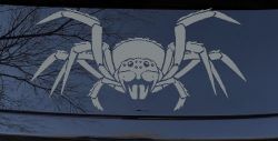 Spider Animals Car or Truck Window Vinyl Decal Sticker (Telegrey)
