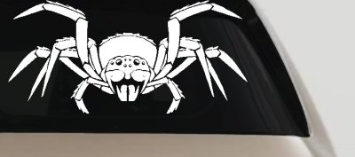 Spider Animals Car or Truck Window Vinyl Decal Sticker