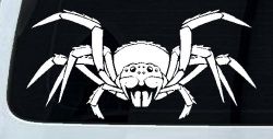 Spider Animals Car or Truck Window Decal Sticker