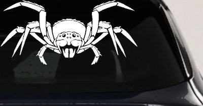 Spider Animals Car or Truck Window Vinyl Decal Sticker
