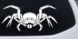 Spider Animals Car or Truck Window Decal Sticker