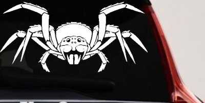 Spider Animals Car or Truck Window Vinyl Decal Sticker
