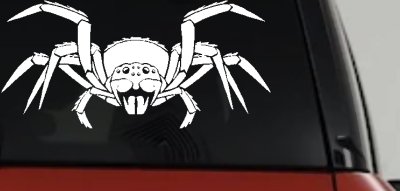 Spider Animals Car or Truck Window Vinyl Decal Sticker