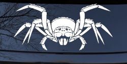 Spider Animals Car or Truck Window Decal Sticker