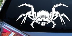 Spider Animals Car or Truck Window Decal Sticker