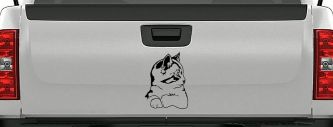 Kitten Cat Car or Truck Window Decal Sticker (Black)