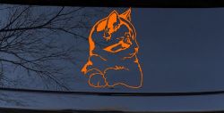 Kitten Cat Car or Truck Window Decal Sticker (Orange)