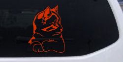 Cute Kitten Cat Decal for Car or Truck Window Sticker Vinyl (Orange Red)