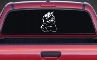 Kitten Cat Car or Truck Window Decal Sticker