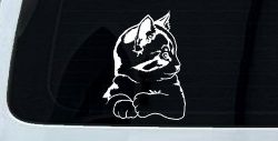 Kitten Cat Car or Truck Window Decal Sticker