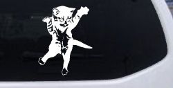 Cat Pounce Animals Car or Truck Window Decal Sticker