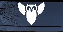 Native American Indian Owl Car or Truck Window Decal Sticker