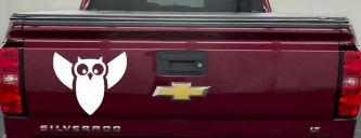 Native American Indian Owl Car or Truck Window Decal Sticker (White)