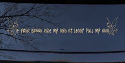 Large Tinkerbell If Your Gonna Ride my Ass At Least Pull My Hair Funny Car or Truck Window Decal Sticker (Desert Sand)