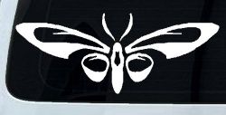 Tribal Butterfly Butterflies Car or Truck Window Decal Sticker