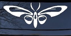 Tribal Butterfly Butterflies Car or Truck Window Decal Sticker