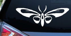 Tribal Butterfly Butterflies Car or Truck Window Decal Sticker