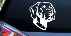 Labrador Retriever Dog Car or Truck Window Decal Sticker