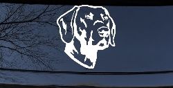 Labrador Retriever Dog Car or Truck Window Decal Sticker