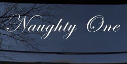 Naughty One Car or Truck Window Decal Sticker